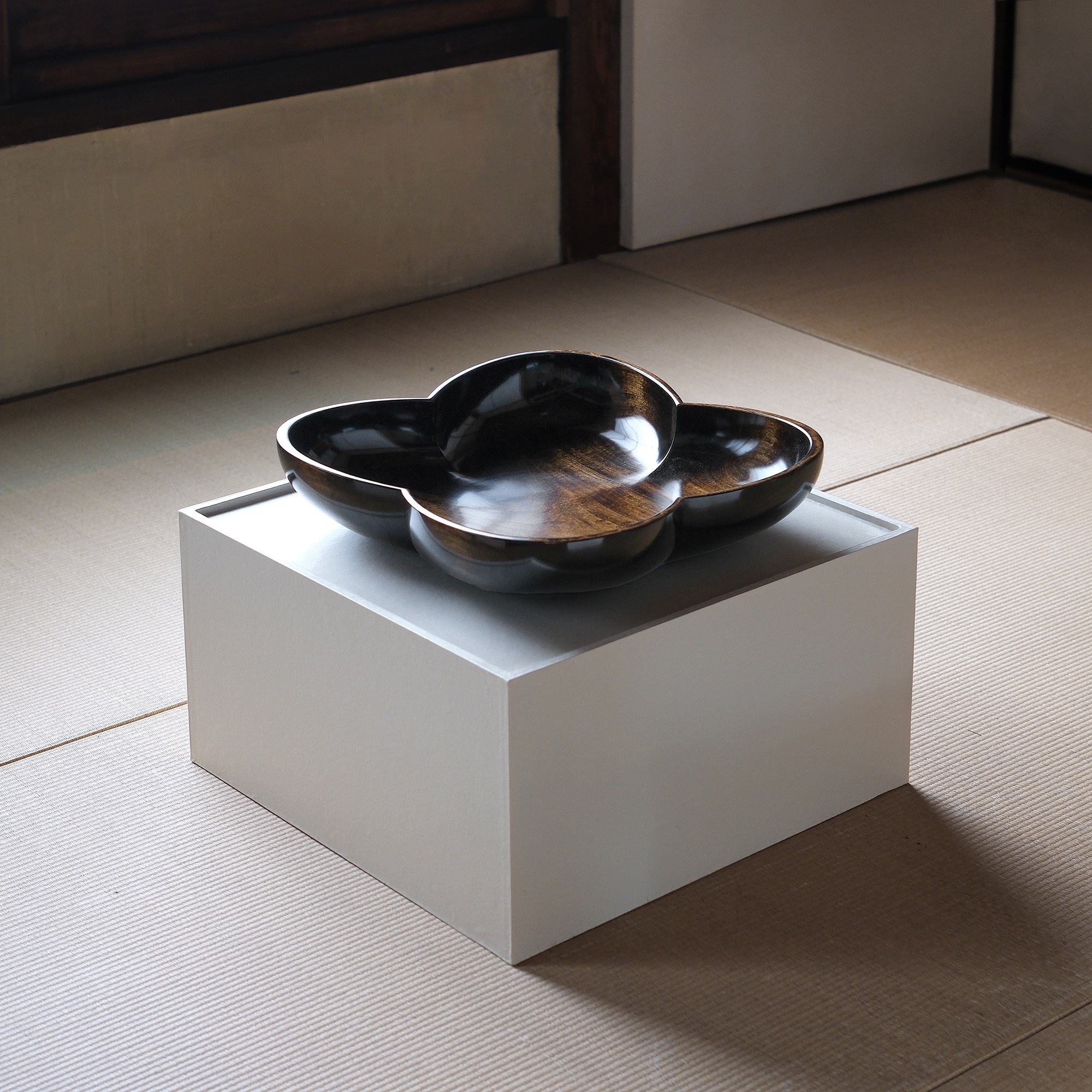 doinel購入 岩本忠美さん 鉢